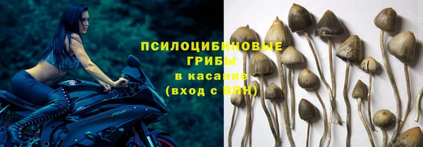дурь Абинск